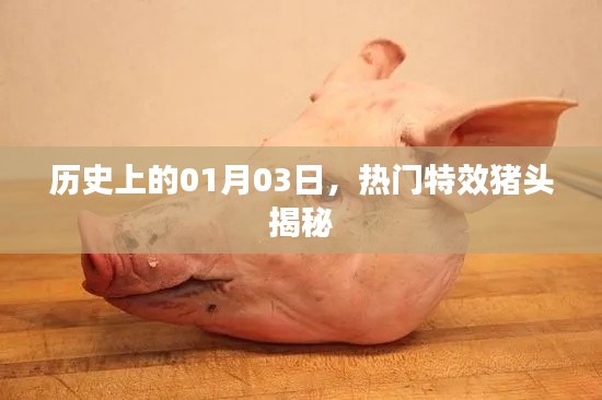 揭秘，历史上的热门特效猪头诞生记