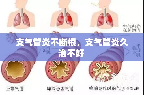 jiankupusu 第2页