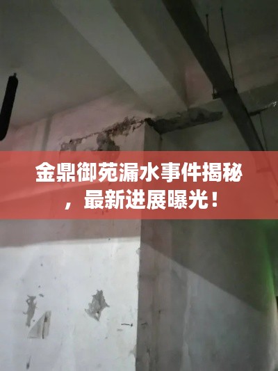 金鼎御苑漏水事件揭秘，最新进展曝光！