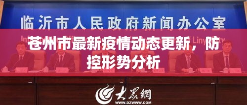 苍州市最新疫情动态更新，防控形势分析