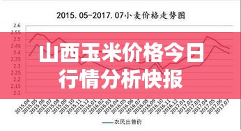 山西玉米价格今日行情分析快报