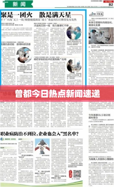 曾都今日热点新闻速递