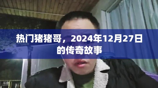热门猪猪哥，传奇故事的诞生，2025年12月27日