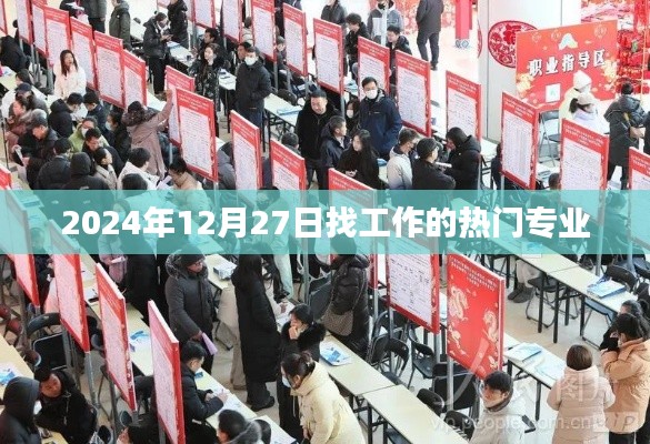 热门专业求职趋势，2025年12月27日找工作必看专业