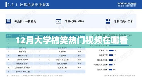 橘虞初梦 第3页