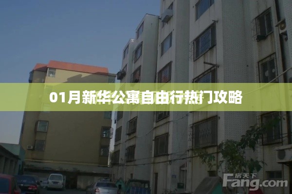 jinxinjieli 第3页