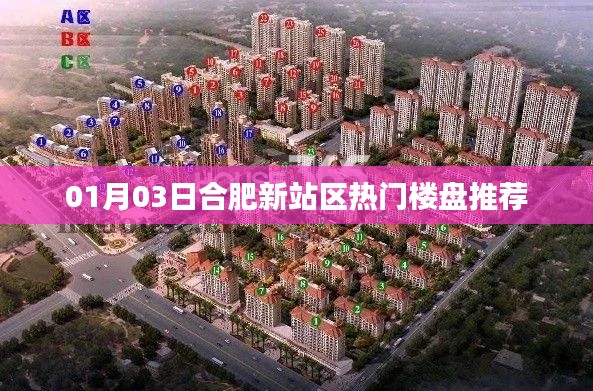 合肥新站区热门楼盘推荐 01月03日必看好房
