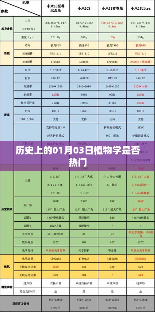 初告白 第2页