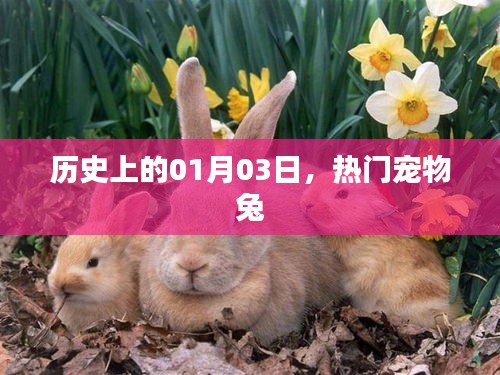 benzourufei 第2页