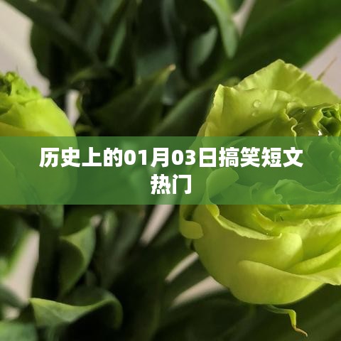 历史上的那些搞笑瞬间，一月三日趣事回顾
