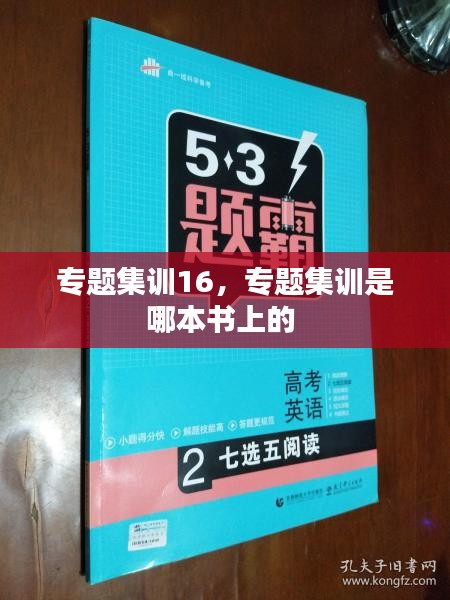 专题集训16，专题集训是哪本书上的 