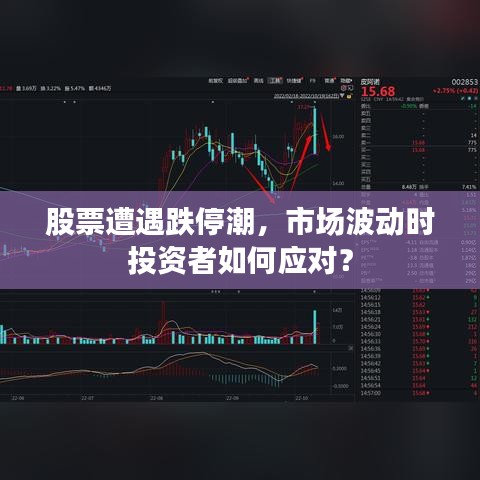 弃文就武 第2页