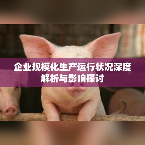 张弓拔弩 第2页