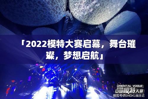 临危不惧 第2页