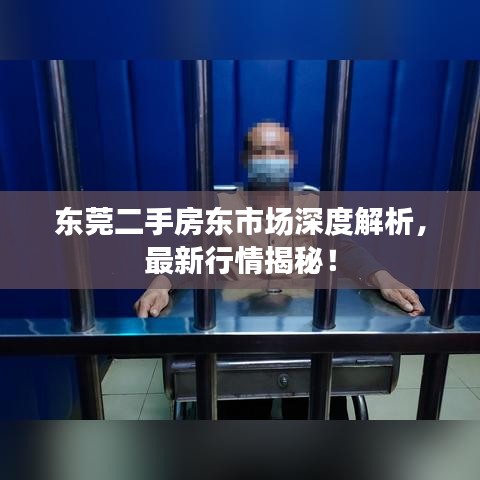 东莞二手房东市场深度解析，最新行情揭秘！