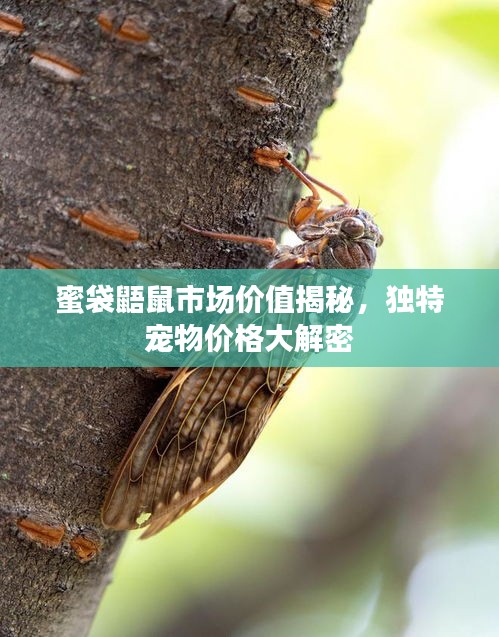 仪表堂堂 第2页
