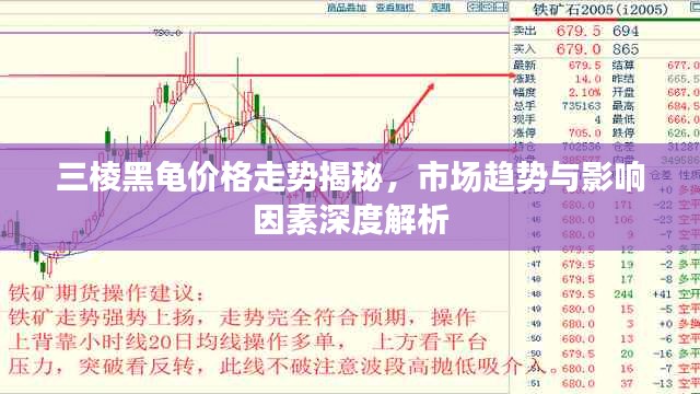 三棱黑龟价格走势揭秘，市场趋势与影响因素深度解析
