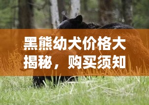 三人成虎 第2页
