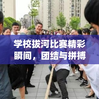 学校拔河比赛精彩瞬间，团结与拼搏的完美呈现