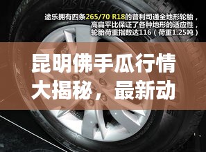 鸟覆危巢 第2页