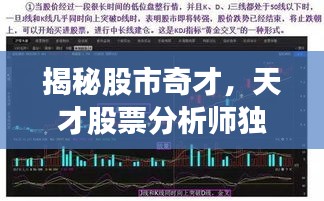 揭秘股市奇才，天才股票分析师独家解读股市奥秘