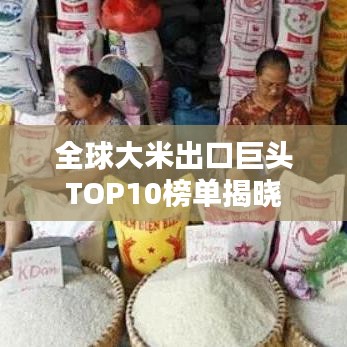 草率从事 第2页