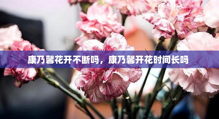 鸟吏鼈官 第2页