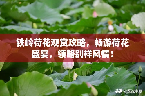 利官近贵 第2页