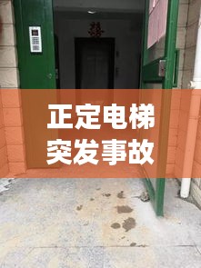 料事如神 第2页