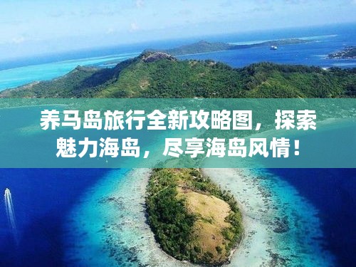 兵贵神速 第2页