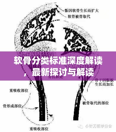 施工现场 第69页