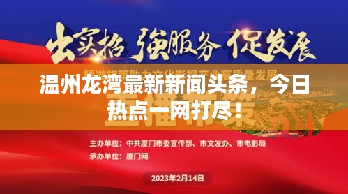 shoudangqichong 第2页