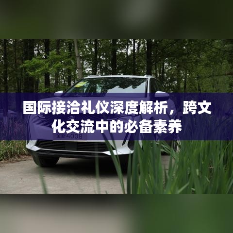 国际接洽礼仪深度解析，跨文化交流中的必备素养