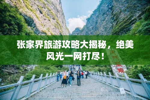 张家界旅游攻略大揭秘，绝美风光一网打尽！