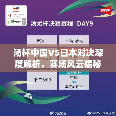 汤杯中国VS日本对决深度解析，赛场风云揭秘！