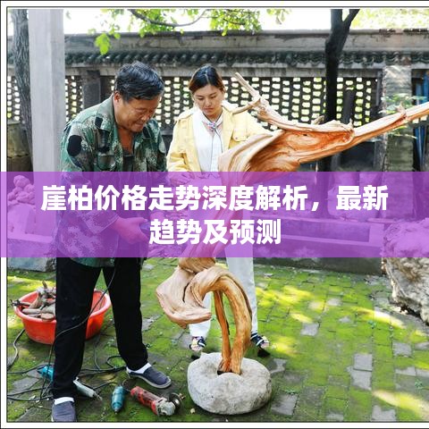 崖柏价格走势深度解析，最新趋势及预测