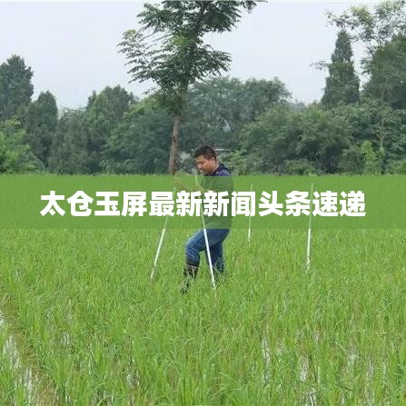 太仓玉屏最新新闻头条速递