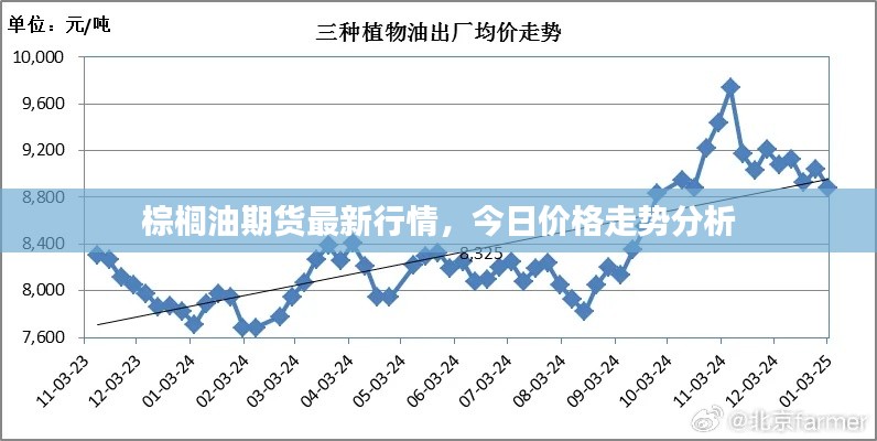 荡然无存 第2页