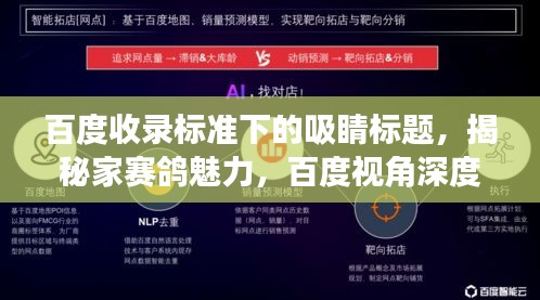 百度收录标准下的吸睛标题，揭秘家赛鸽魅力，百度视角深度洞察！
