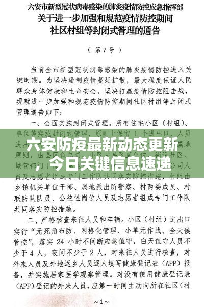 六安防疫最新动态更新，今日关键信息速递
