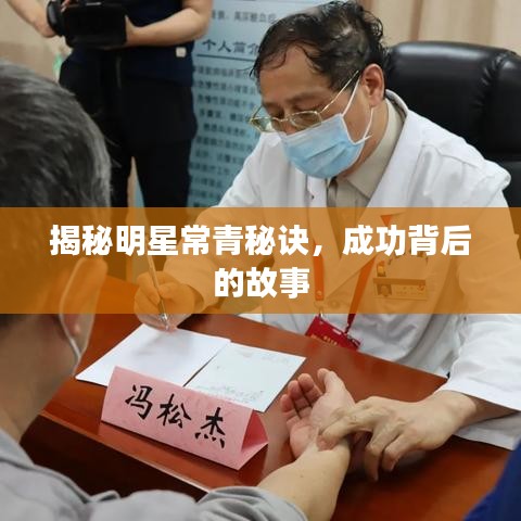 揭秘明星常青秘诀，成功背后的故事