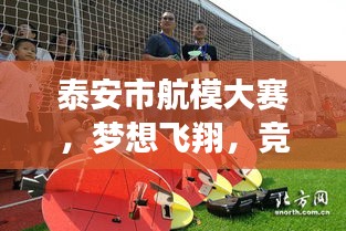 泰安市航模大赛，梦想飞翔，竞技激情燃烧