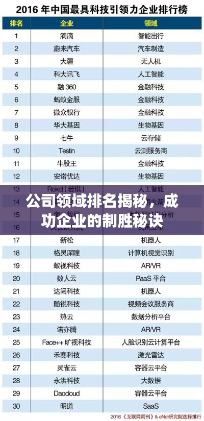公司领域排名揭秘，成功企业的制胜秘诀