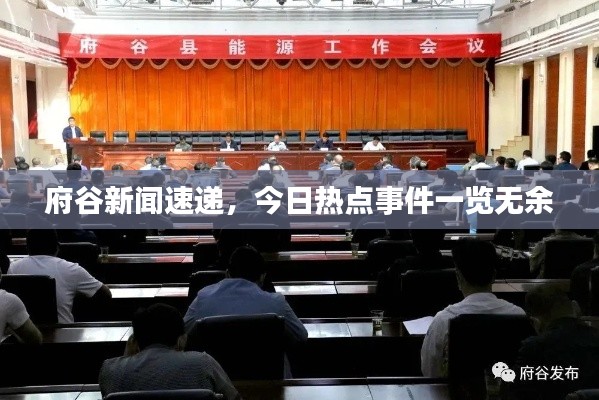 府谷新闻速递，今日热点事件一览无余