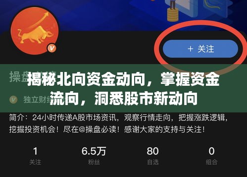 揭秘北向资金动向，掌握资金流向，洞悉股市新动向