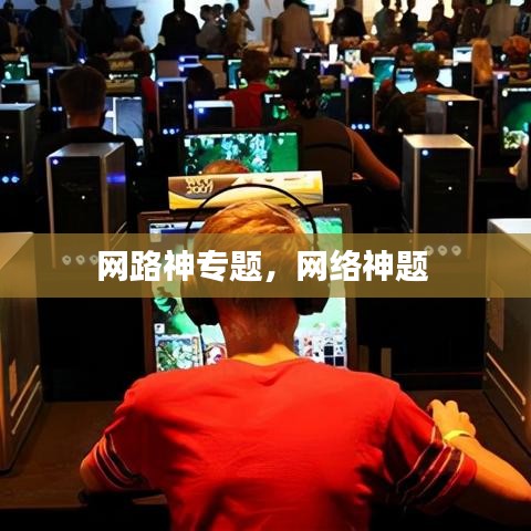 网路神专题，网络神题 