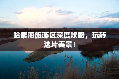 哈素海旅游区深度攻略，玩转这片美景！