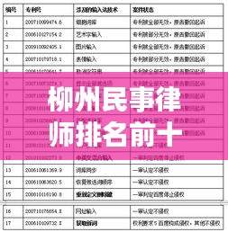 柳州民事律师排名前十名，法律专家，专业服务的佼佼者
