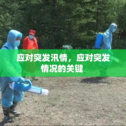 应对突发汛情，应对突发情况的关键 