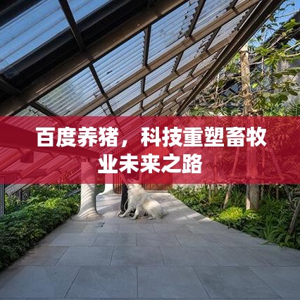 百度养猪，科技重塑畜牧业未来之路